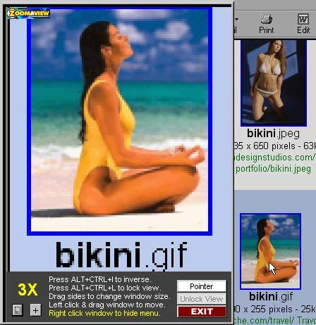 ZoomAView - The Computer Magnifying Lens! Screenshot